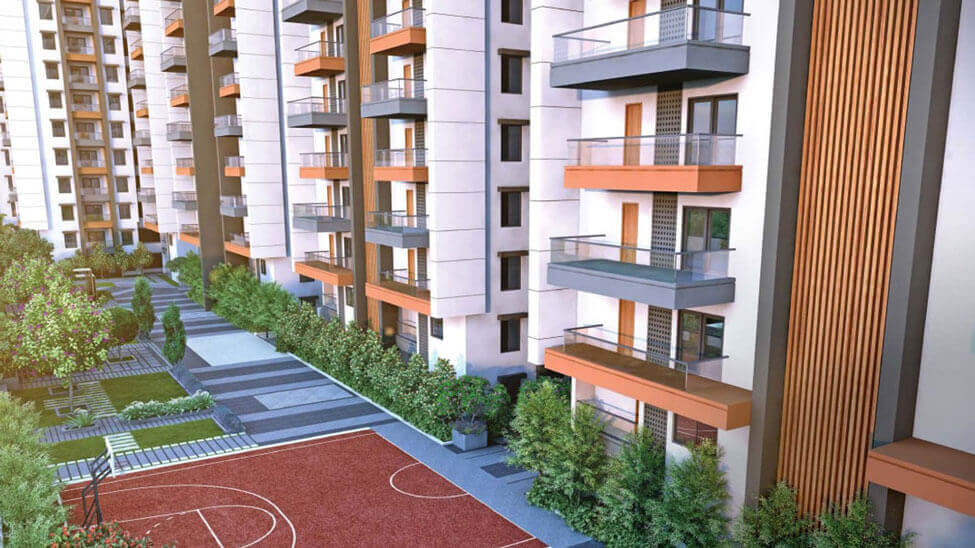 Hallmark Vicinia Ideal Properties