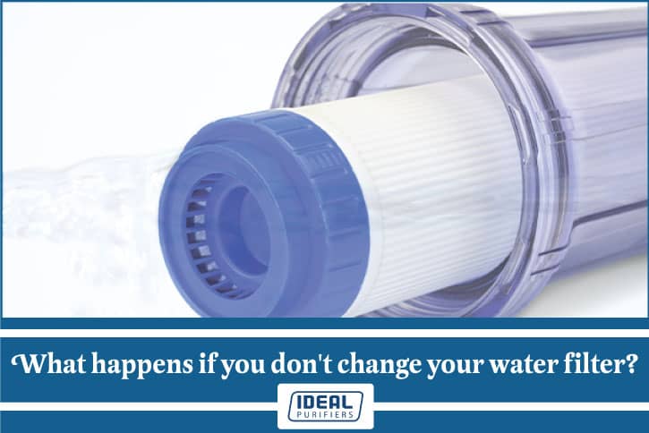 What happens if you don't change your water filter? Other Water