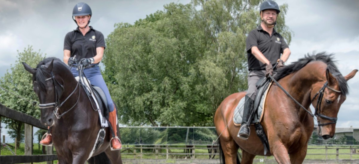 to The Ideal Saddle Company idealsaddle