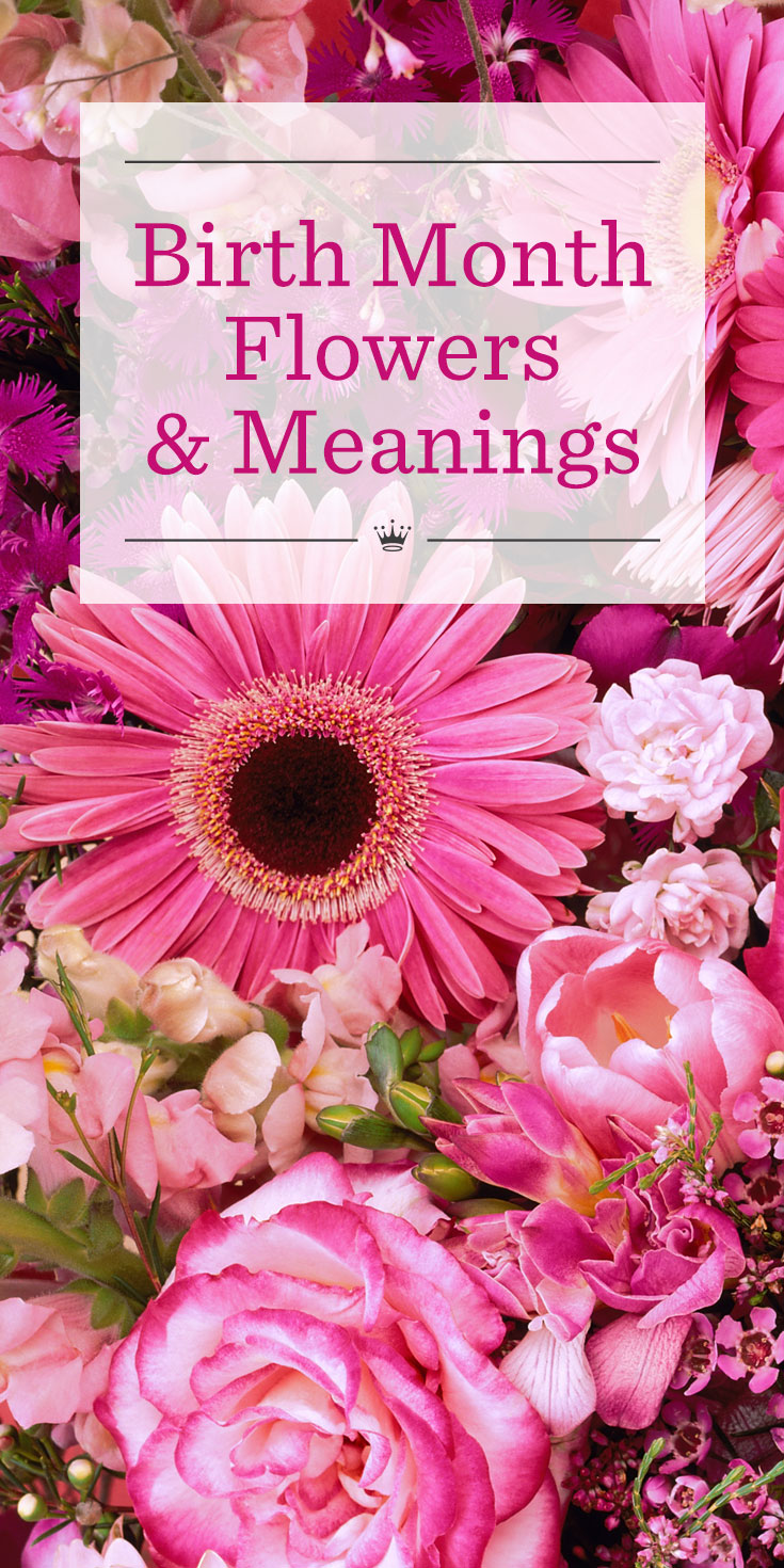 Birthday Flowers Of The Month Best Flower Site