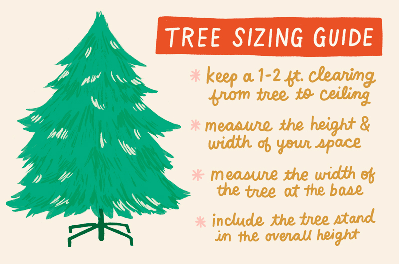 How to choose a Christmas tree: Sizing and deciding between live and
