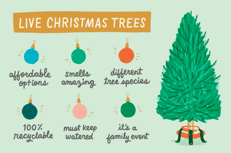 How to choose a Christmas tree Sizing and deciding between live and