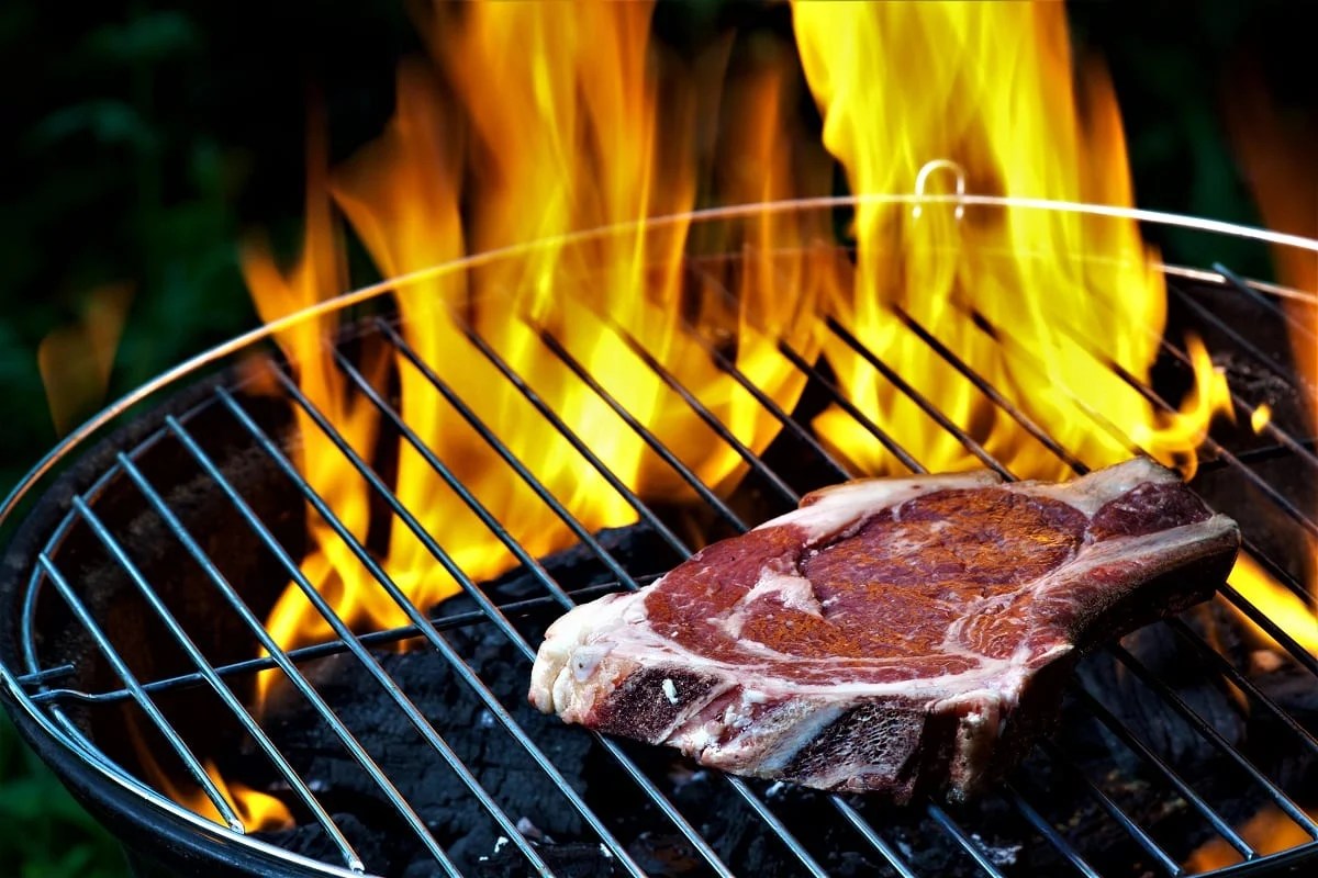 4 Best Charcoal Grills for Your Money Ideas2Live4