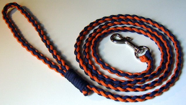 20 Creative DIY Paracord Dog Leash Patterns Ideas