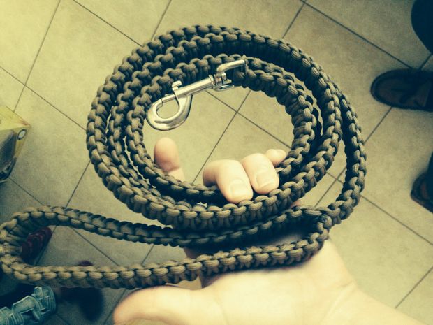 20 Creative DIY Paracord Dog Leash Patterns Ideas