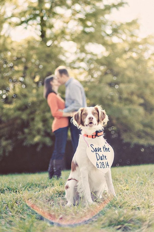30 Fun & Creative Save the Date Photo Ideas 2022