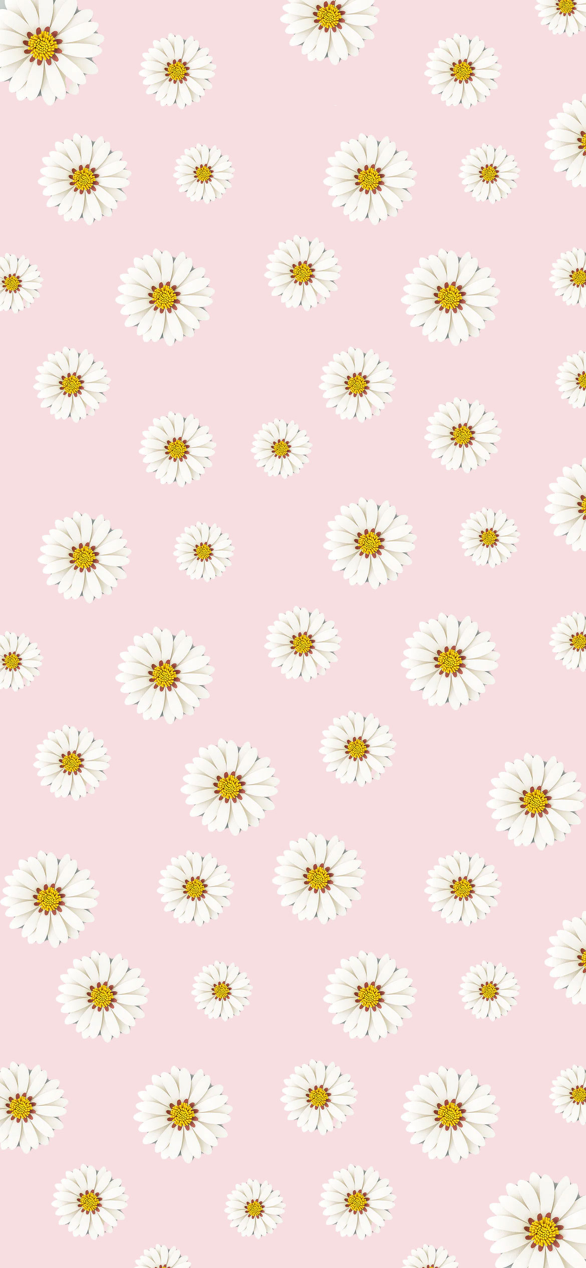 35 Pink Aesthetic Pictures Daisy Pink Wallpaper iPhone Idea