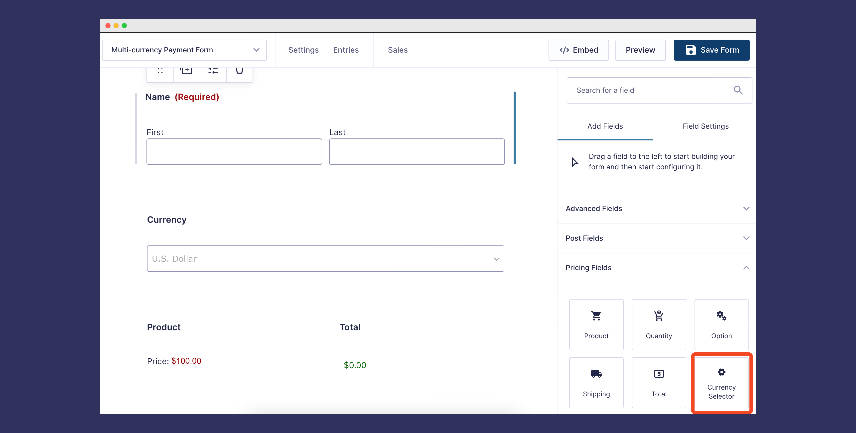 MultiCurrency For GravityForms IdeaWP WordPress Plugins