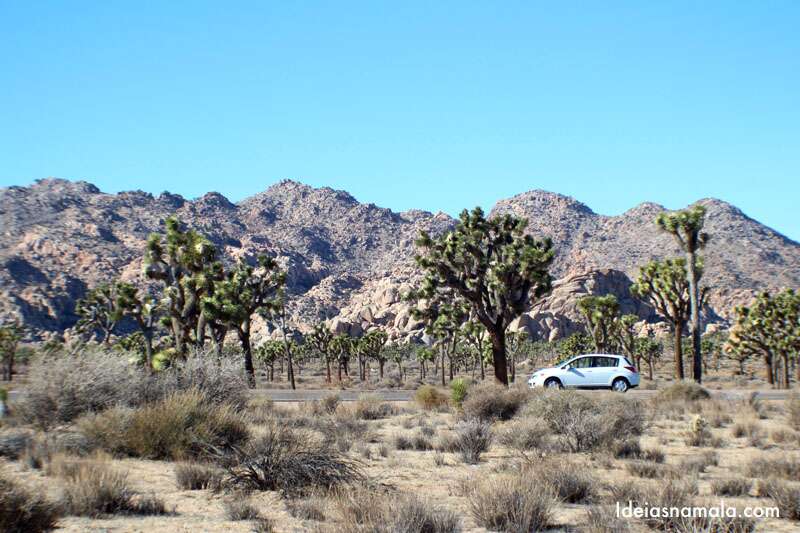 Aluguel de carro na Califórnia TUDO que você precisa saber