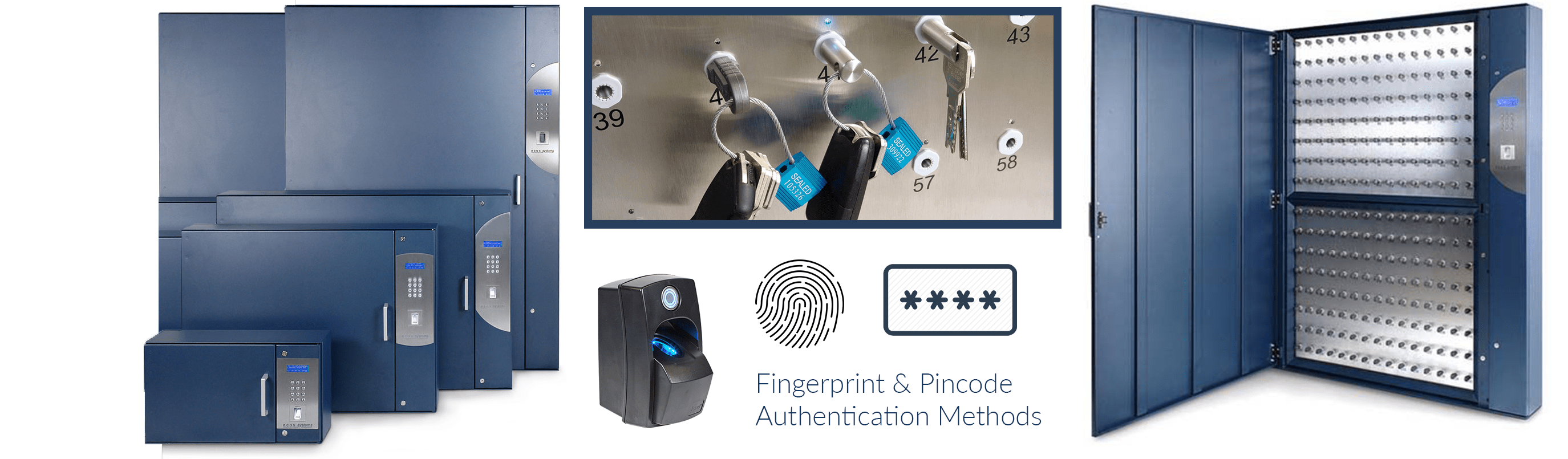 Biometric Key Matttroy