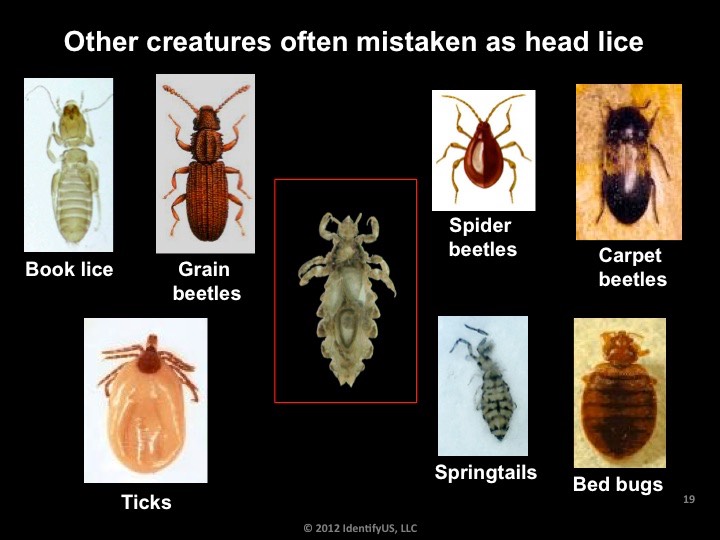 Slide19.jpg IdentifyUS