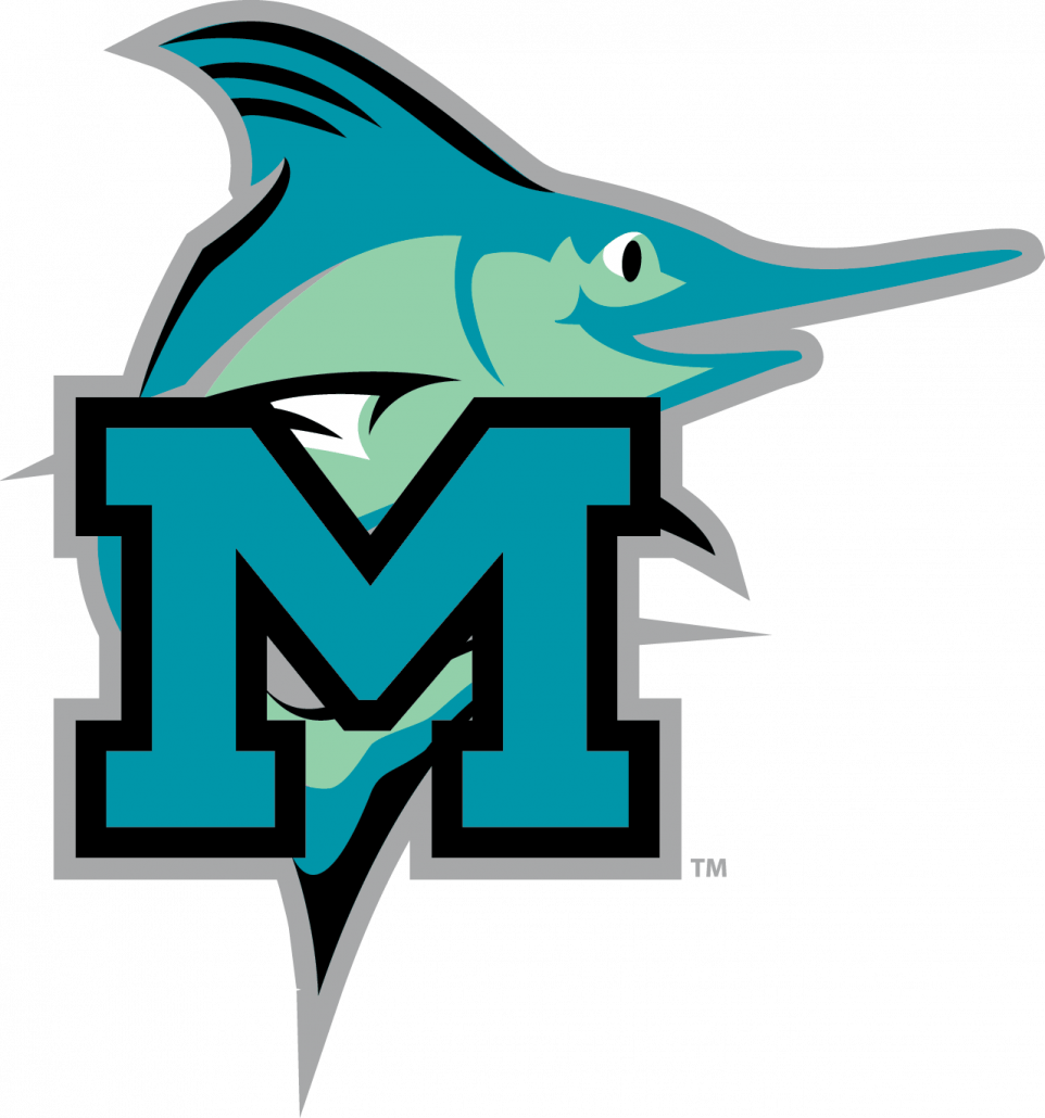 Martin Technology Academy