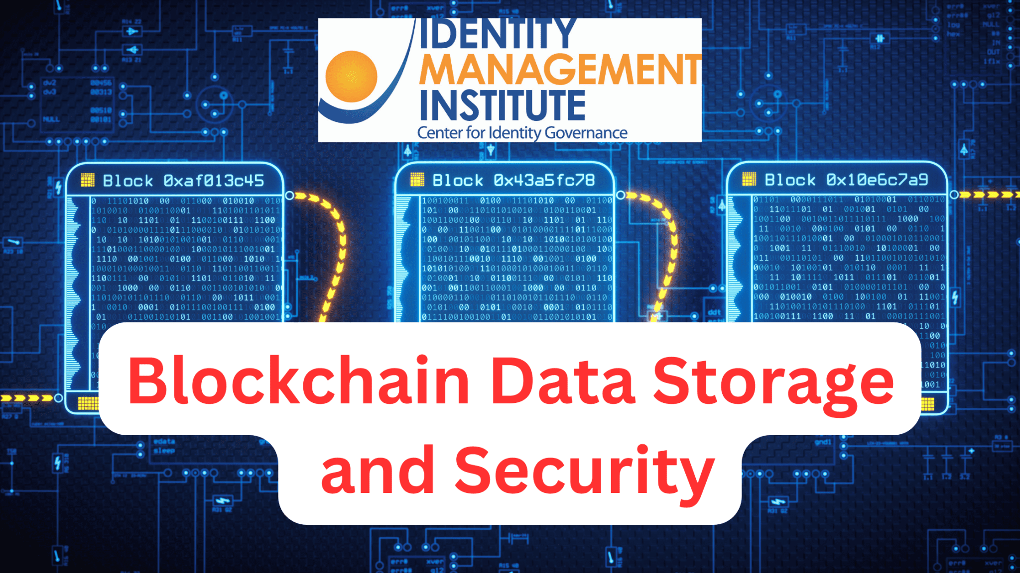 Blockchain Data Storage and Security Identity Management Institute®