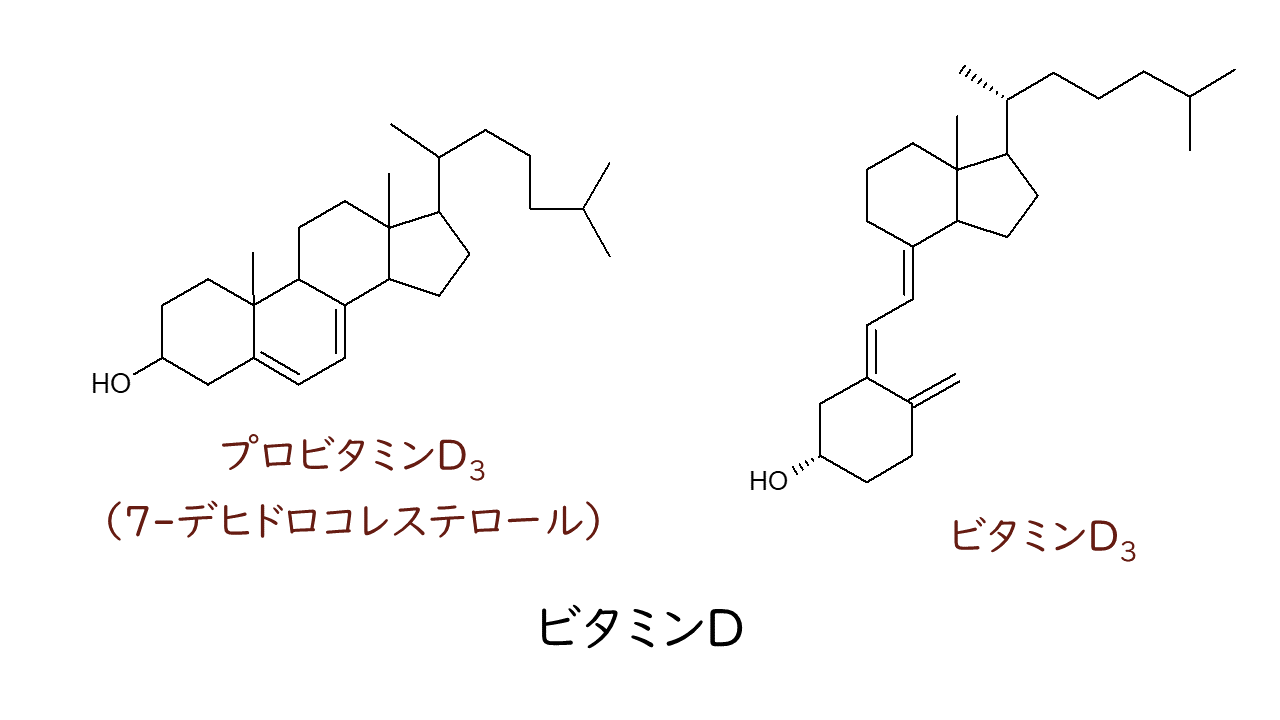 誘導脂質｜気になる遺伝子
