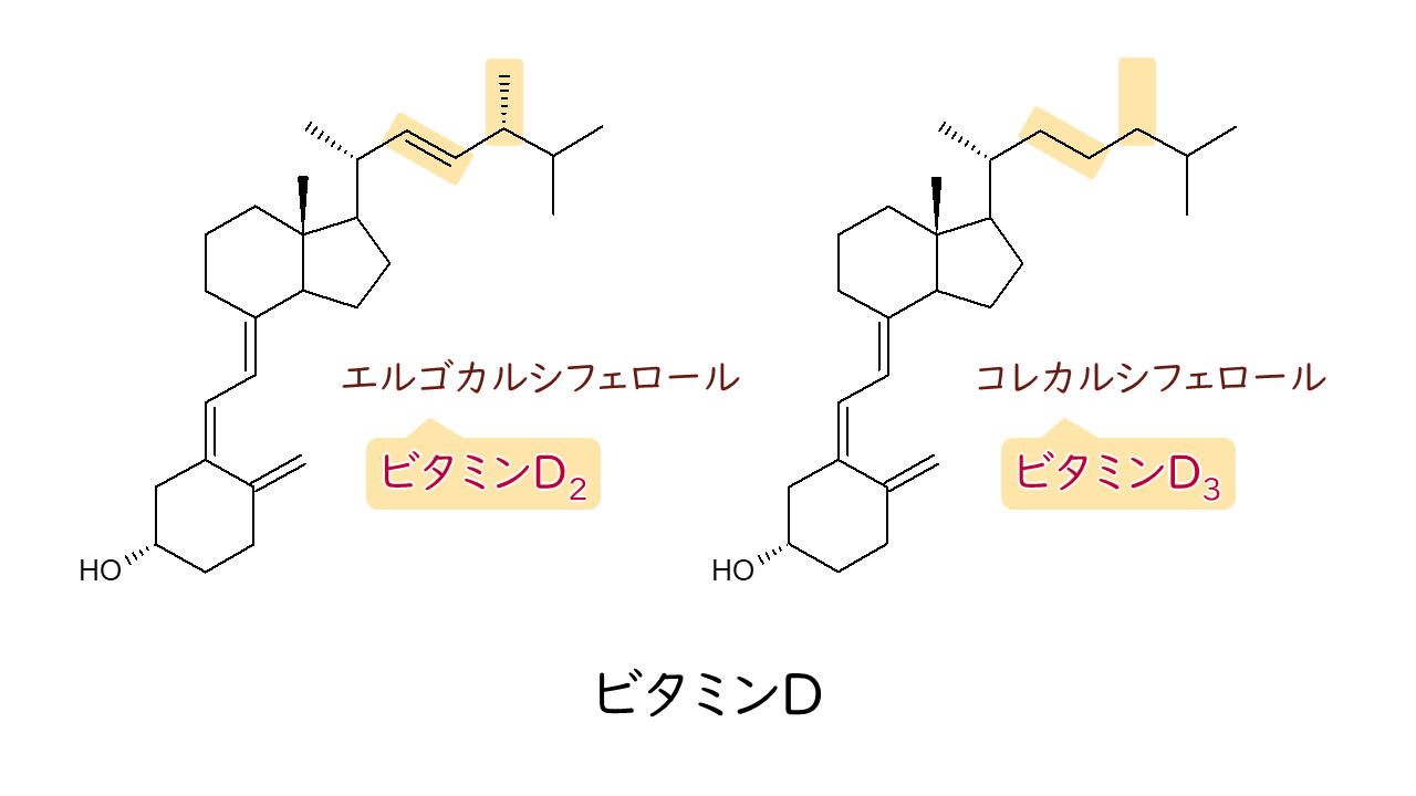 エルゴカルシフェロール (エルゴカルシフェロール) JapaneseEnglish Dictionary JapaneseClass.jp
