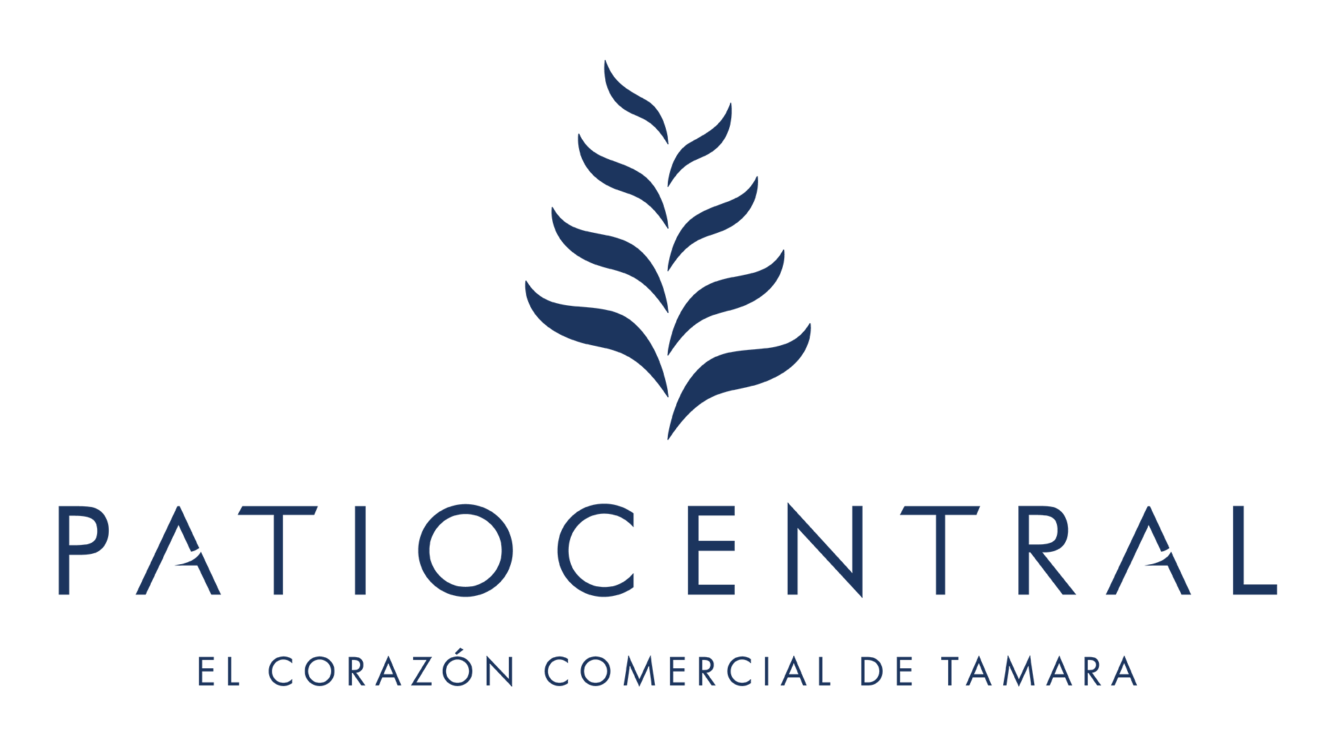 Idesco Experiencias Inmobiliarias