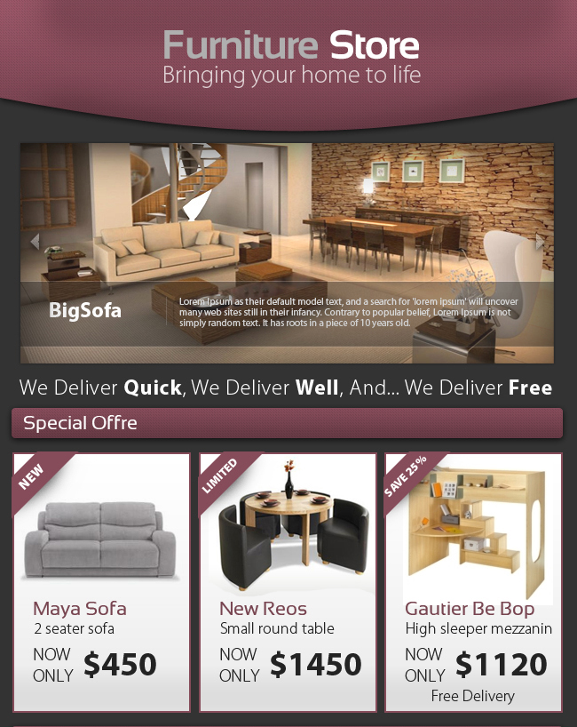 Professional Furniture Store Enewsletter  Elements