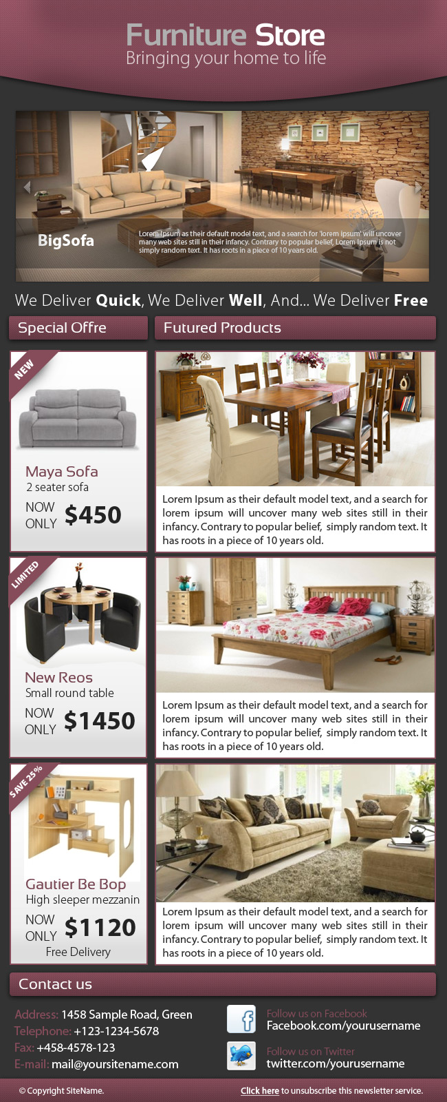 Professional Furniture Store Enewsletter  Elements