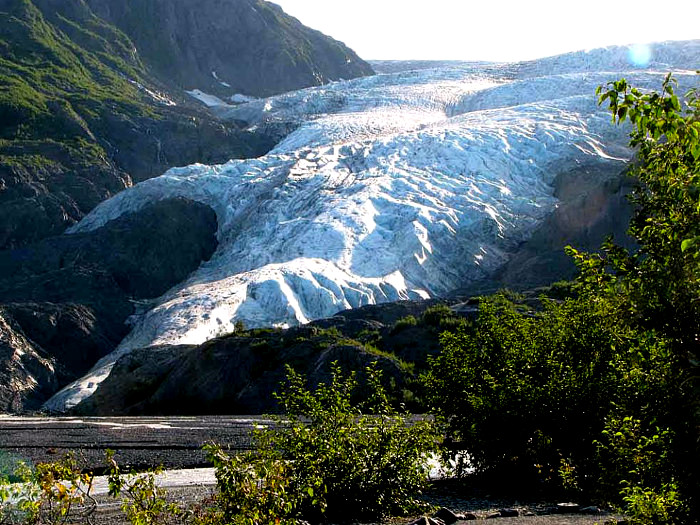 The Real Alaska Day Tour Seavey's IdidaRide Dog Sled Tours