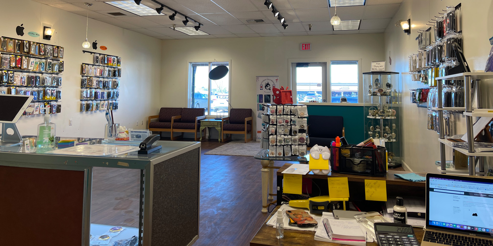 Phone and Tablet Repair in the MatSu! Iditarod Tech Repair