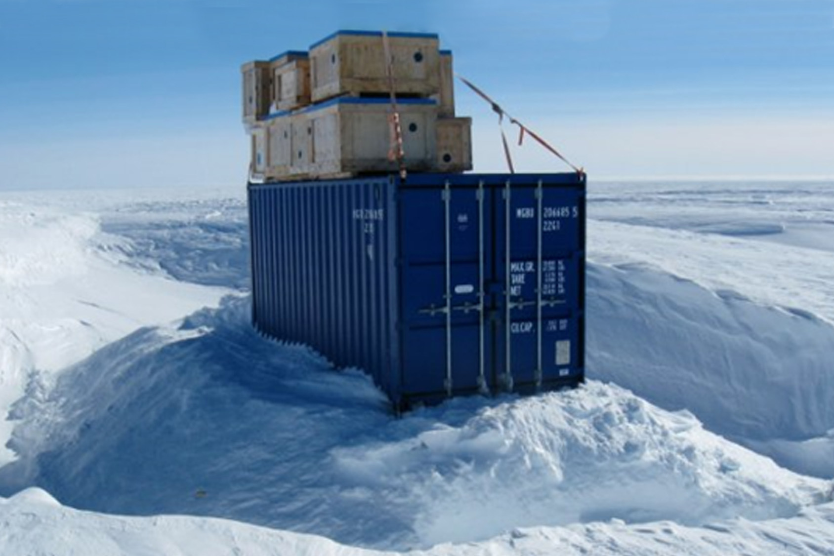 Scan & Track Your Cold Storage Inventory Without the Headache