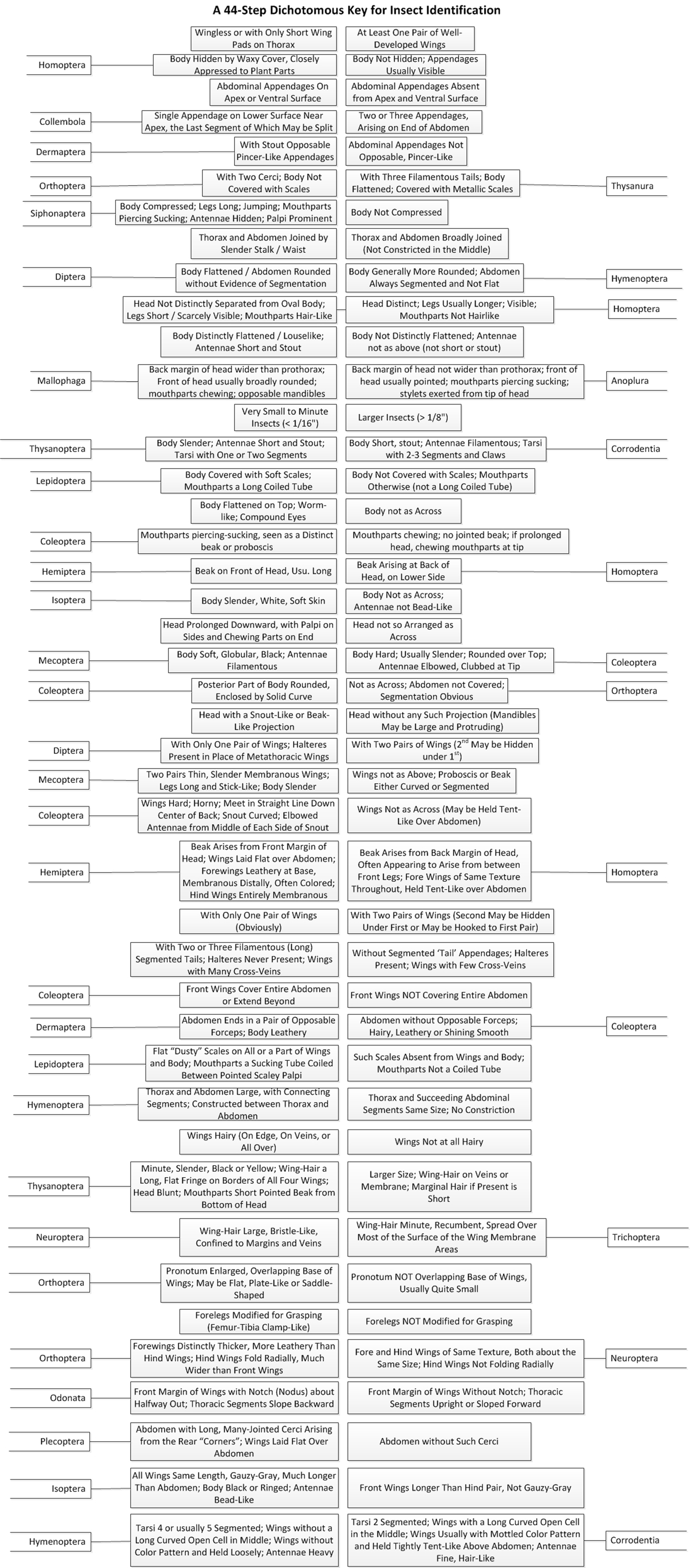 The Participatory Design of a (Today and) Future Digital Entomology Lab