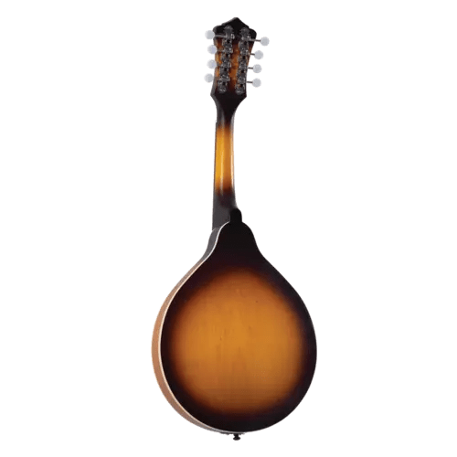 Recording King RAM3 Dirty 30s AModel Mandolin