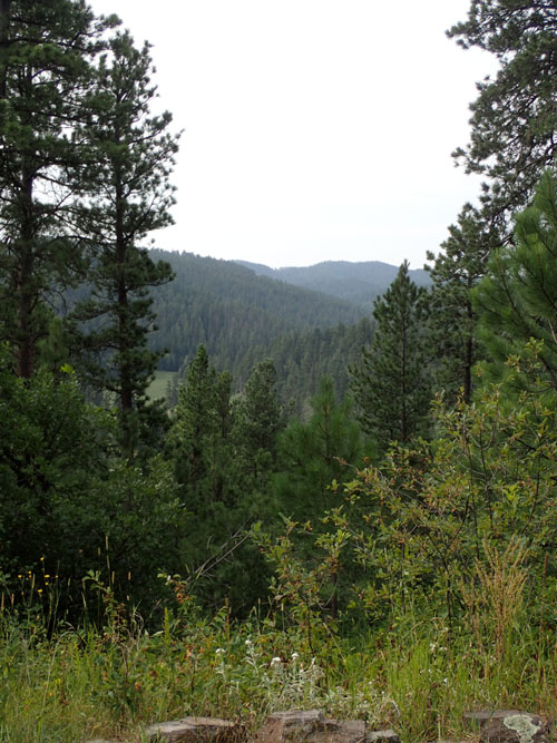 Deadwood to Hill City I Do It Outdoors