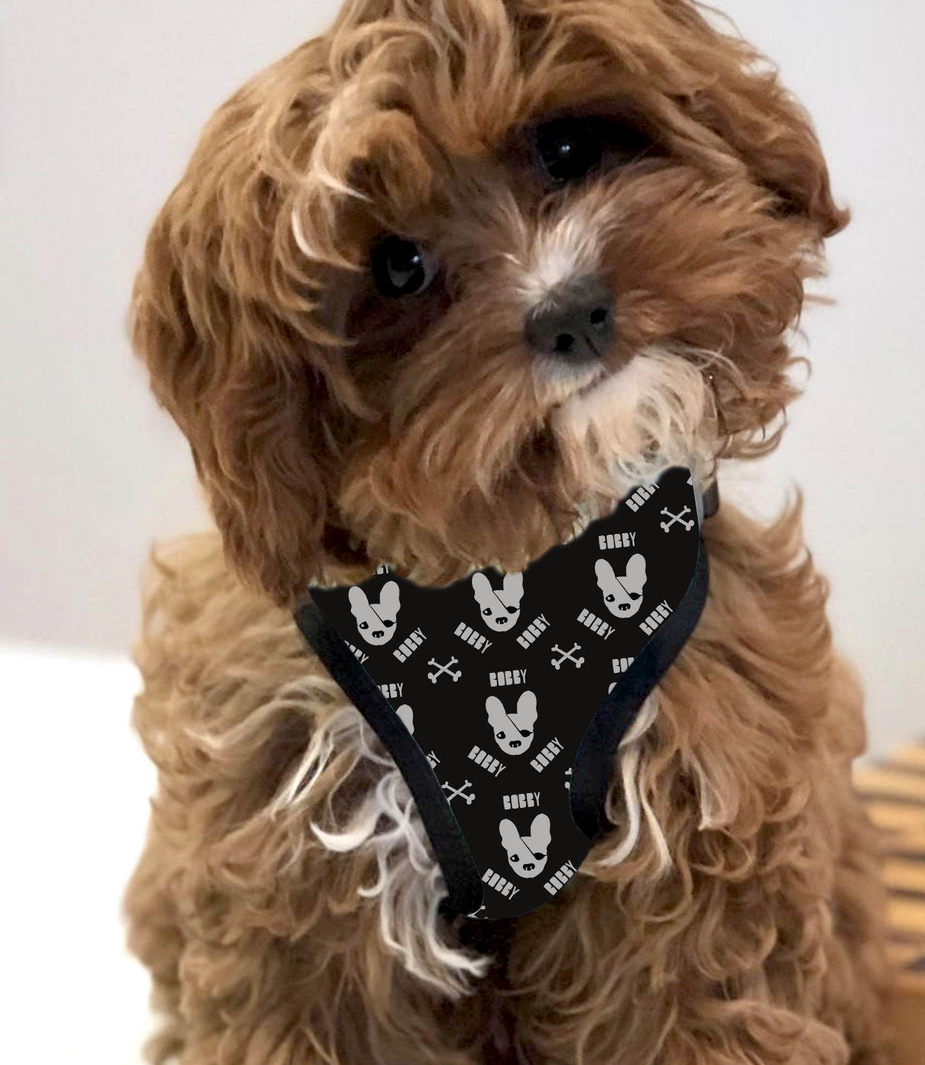 Personalised Pet Harness Skull Dog [IDPHar302] 49.95 IDPET