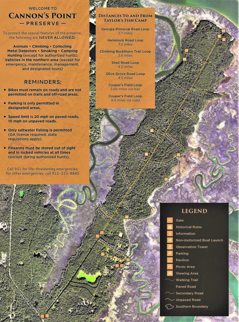 Hike Cannon's Point Preserve on St Simon's Island