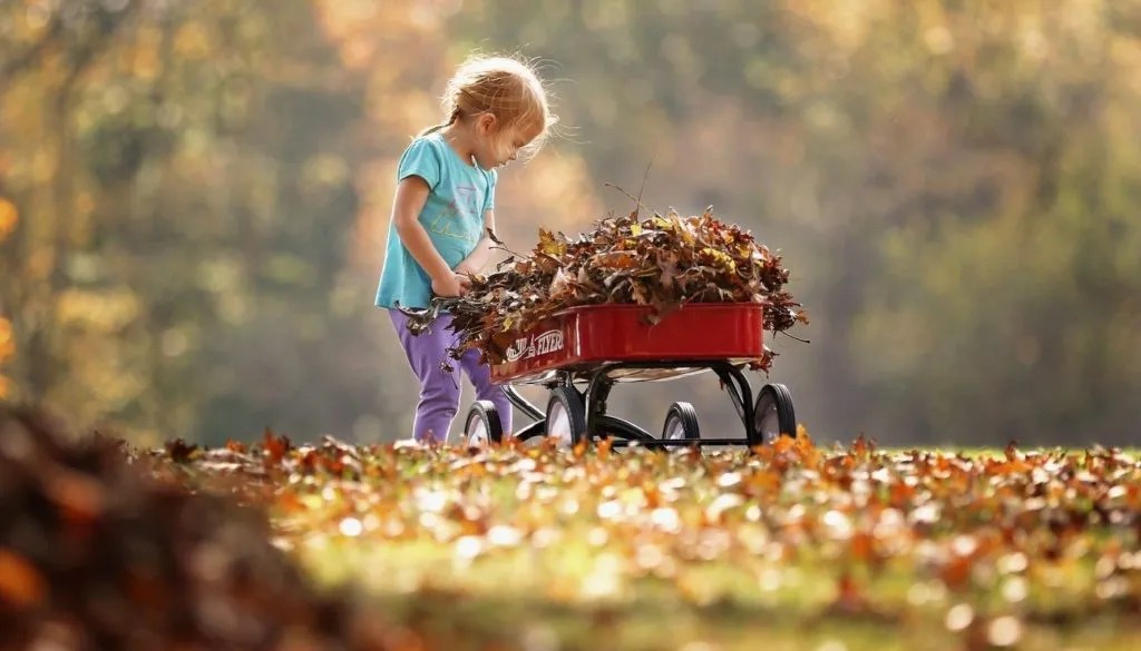 Wagon Dream Meaning iDre.am Dream Dictionary