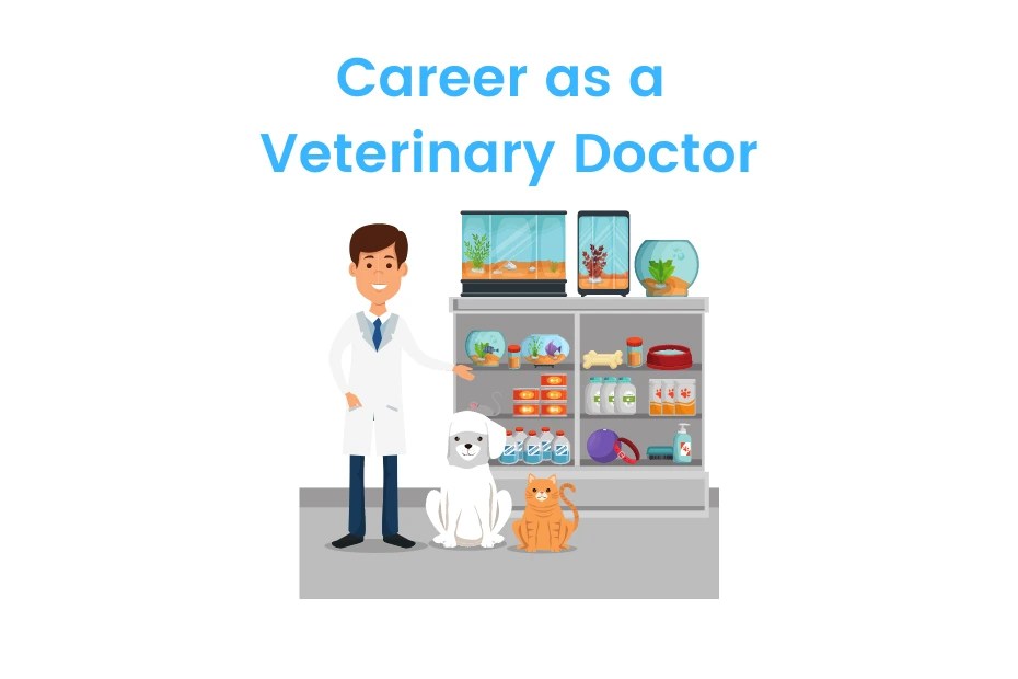 Career as a Veterinary Doctor Eligibility, Jobs, Salary iDreamCareer