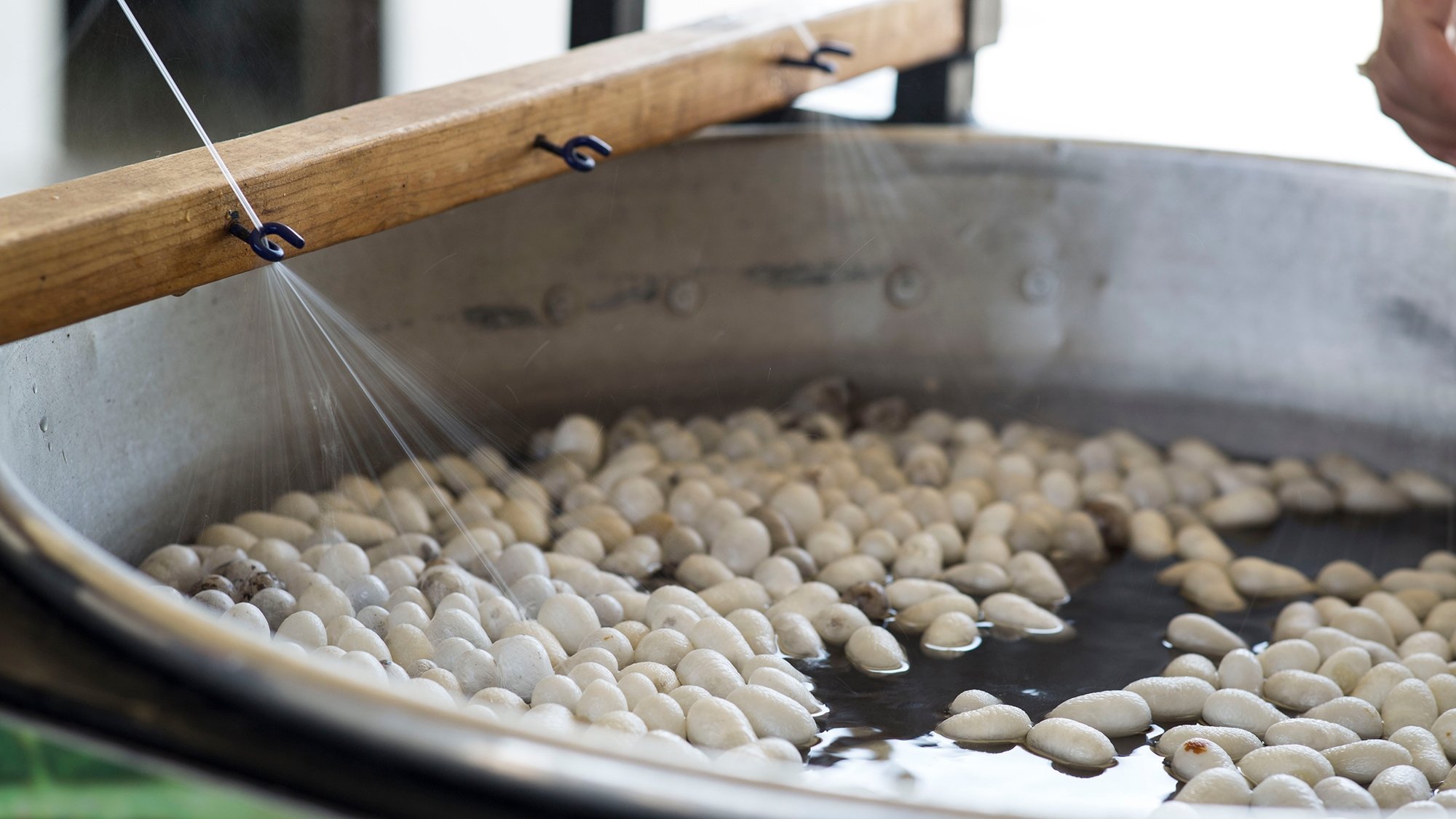 Bursa to join UNESCO Creative Cities Network with silk, tiles Daily Sabah