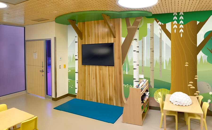 Contemporary Woodland Children's Hospital Decor Project Gallery IDS
