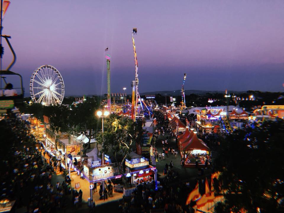 5 Fun Summer Activities in Southern California