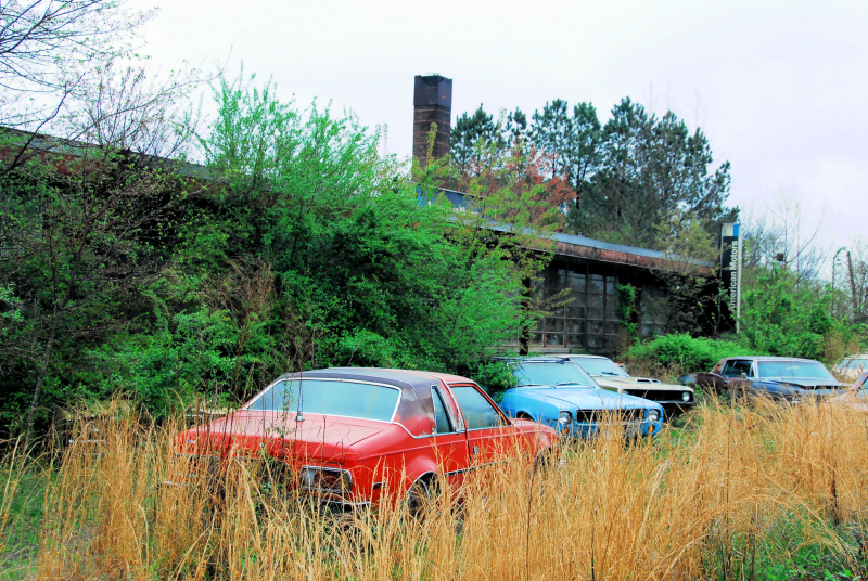 collier motors IEDEI