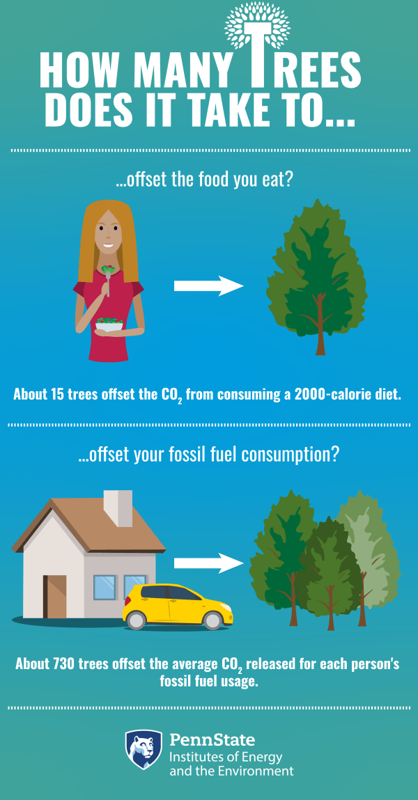 How many trees are needed to take up the carbon dioxide I release every