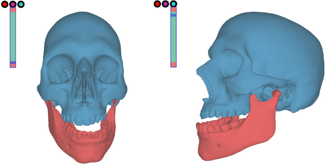 Jaw Motion and Jaw Kinematics Model IEEE DataPort