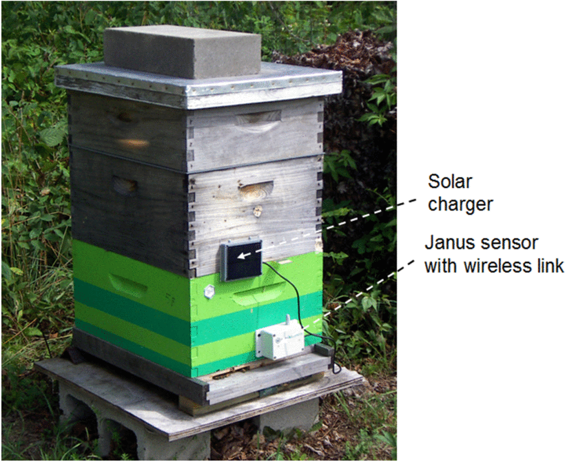 Janus A Combined Radar and Vibration Sensor for Beehive Monitoring