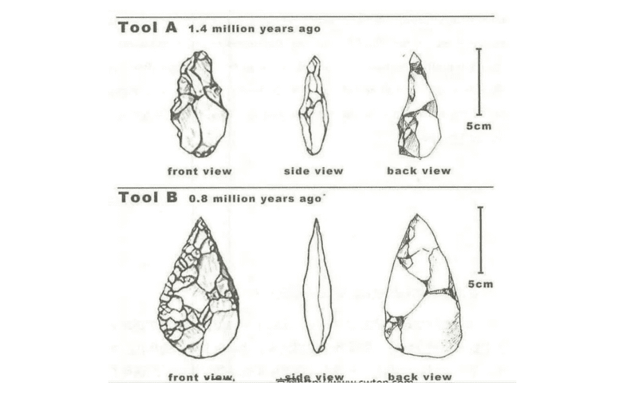 WRITING TASK 1 ĐỀ HOT 28112020 CUTTING TOOLS IN THE STONE AGE