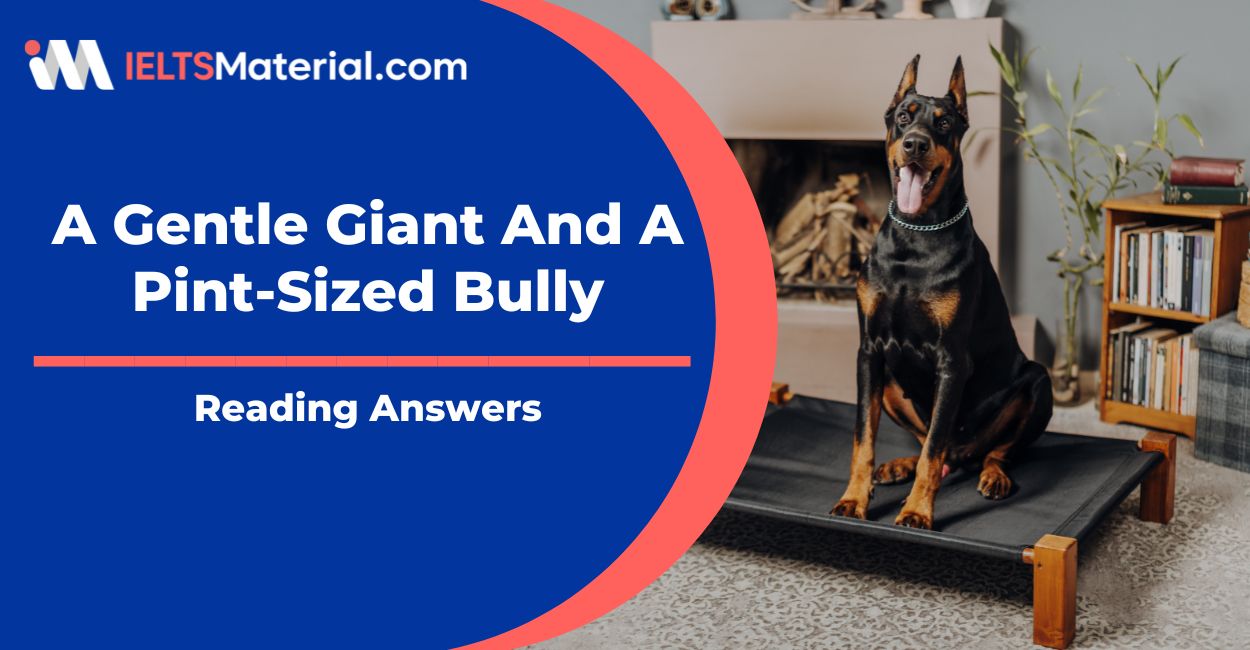 A Gentle Giant And A PintSized Bully Reading Answers