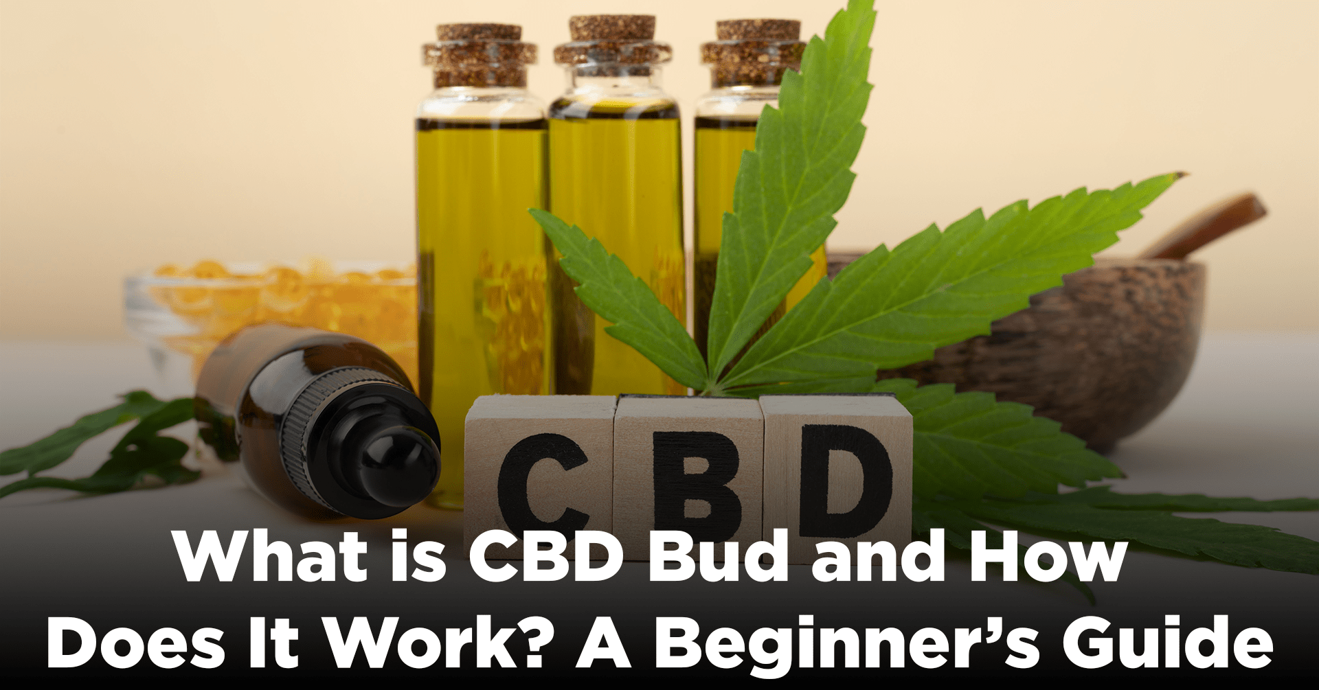What is CBD Bud and How Does It Work? A Beginner's Guide IEMLabs Blog