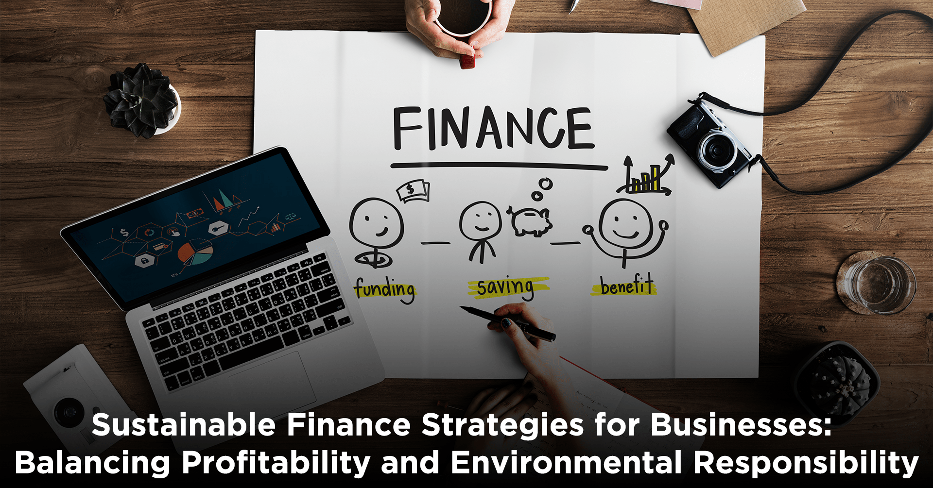 Sustainable Finance Strategies for Businesses Balancing Profitability