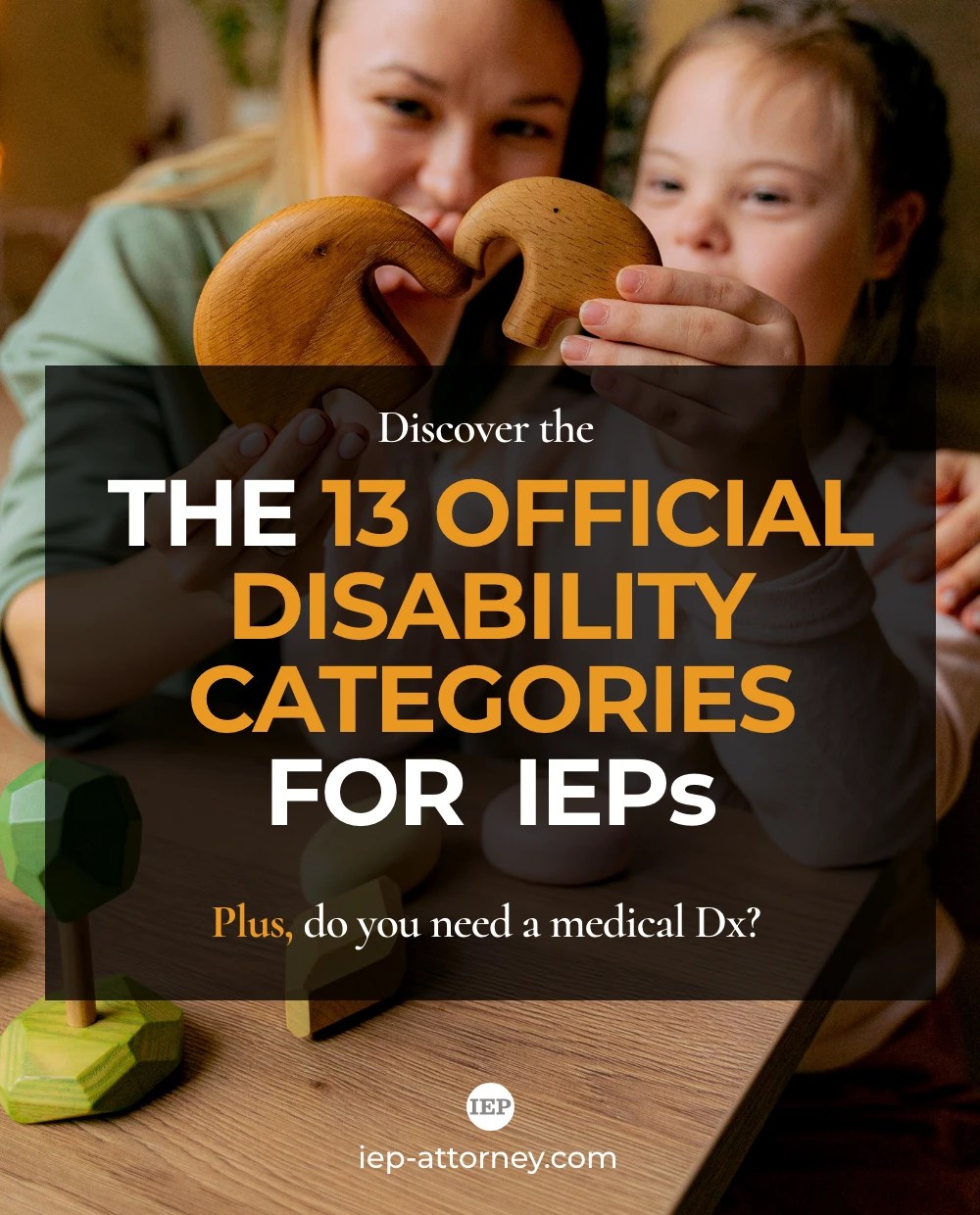 The 13 (or 14) Disability Categories for an IEP + Why you Don't Need a