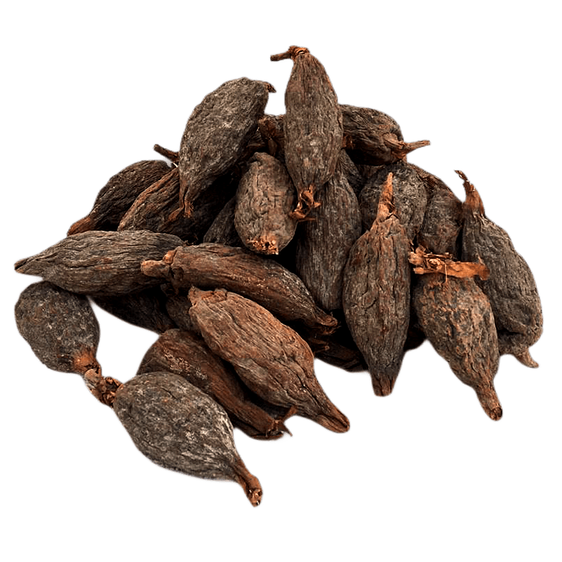 Herbology Capstone Degree Ifá University