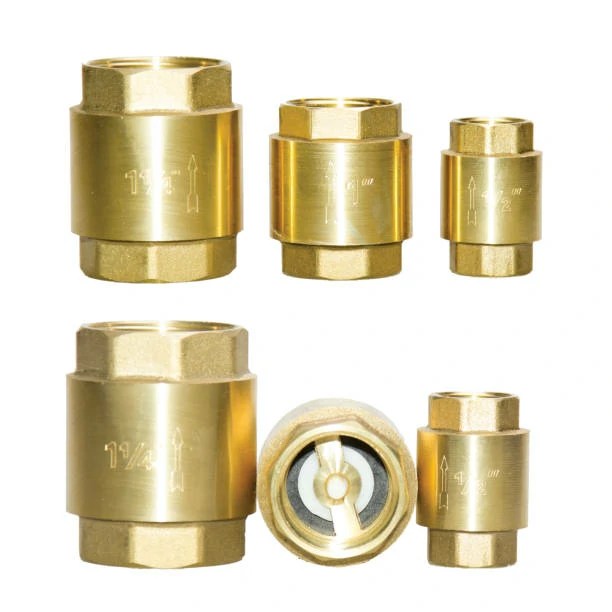 How Does a Brass Check Valve Work?