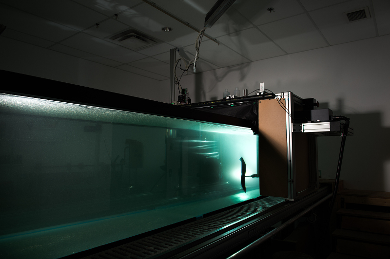 Flow Visualization Lab Insect Flight Group