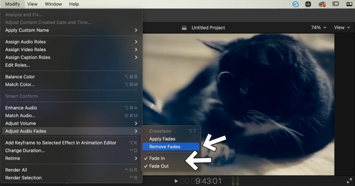 How To Fade Out Audio In Final Cut Pro