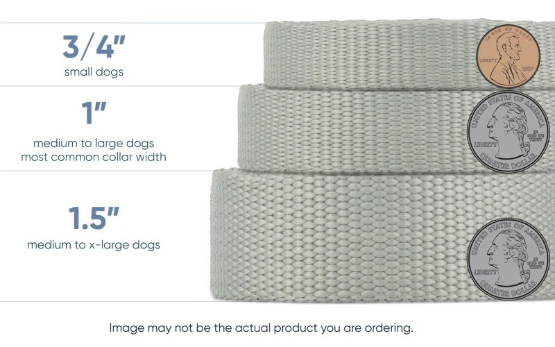 Waterproof Dog Collar - If It Barks