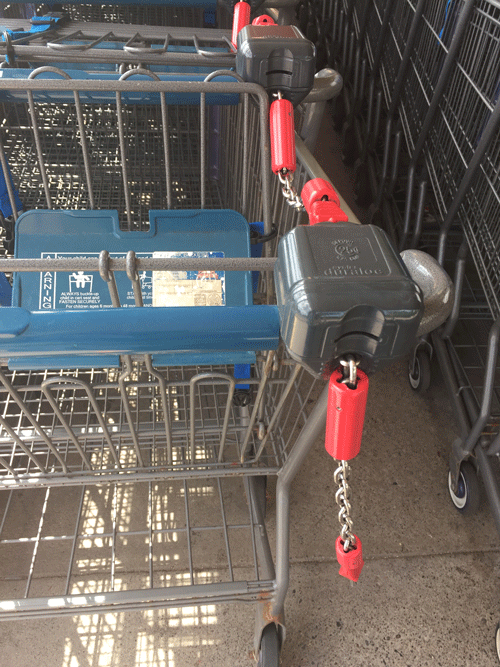 Aldicarts Ellen Burgan Coaching